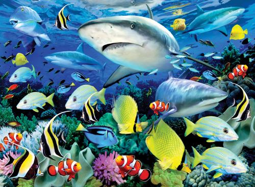 Malování podle čísel 30x40 cm - Žraloci u útesu