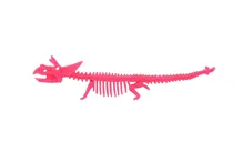 Antistresová natahovací kostra dinosaura 22 cm - mix barev (9)