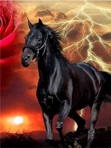 Diamantový obrázek 30x40cm - Černý kůň