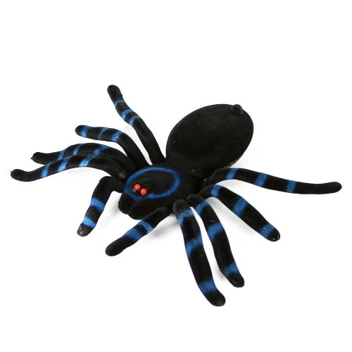 Dekorace - Pavouk velký
