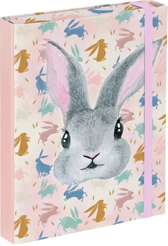 Box na školní sešity A5 BAAGL - Bunny