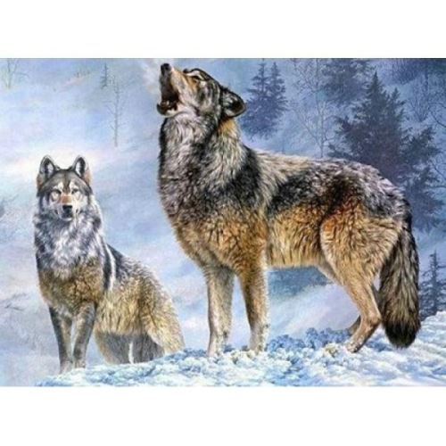 Diamantový obrázek 30x40cm - Vlk s vlčicí