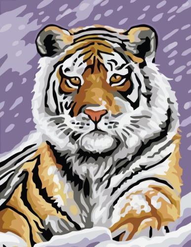 Malovaní na plátno  podle čísel 30x40cm - Tygr ve sněhu