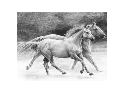 Malování skicovacími tužkami 22x28 cm - Běžící koně
