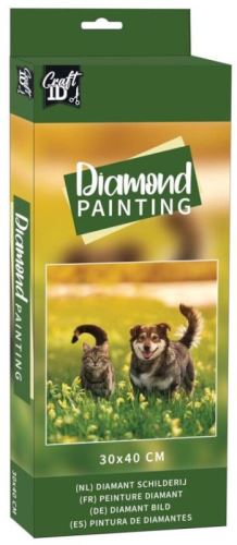 Diamantové malování 30x40cm Kočka, pes