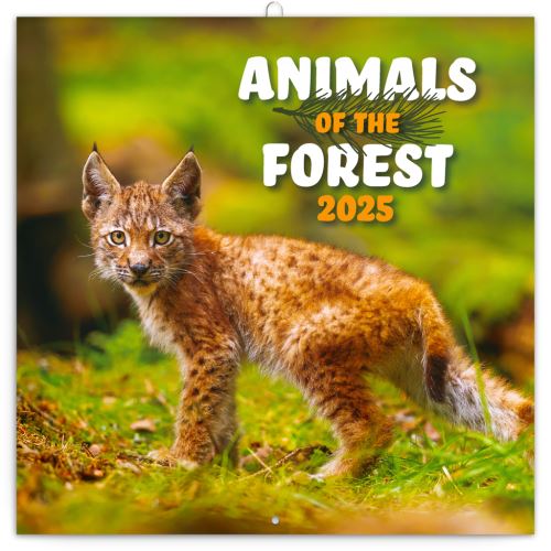 Nástěnný poznámkový kalendář Presco Group 2025 - Zvířátka z lesa, 30 × 30 cm