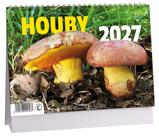 Levně Stolní kalendář 2027 Aria Houby