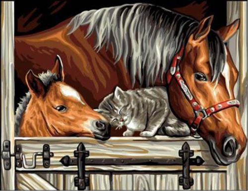 Malovaní na plátno podle čísel 40x50cm - Koně s kočkou