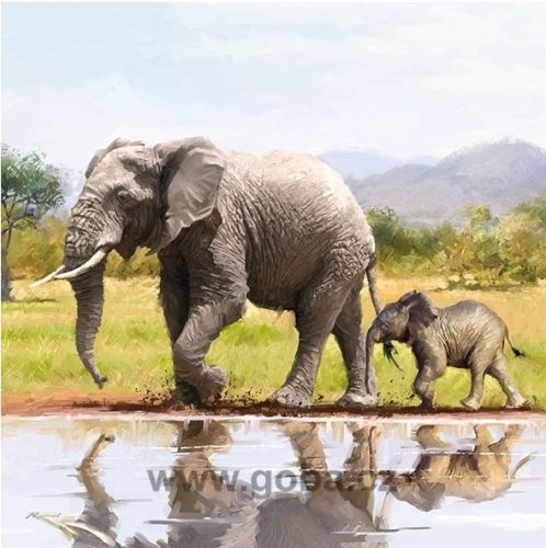 Ubrousky 33 x 33 cm, 3vrstvé, 20 ks - Elephant