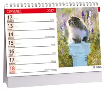 Stolní kalendář 2027 Aria Kočky (1)