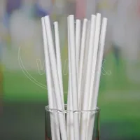 Slámka papírová rovná, bílá 20 cm, Ø 6 mm - 100ks (2)