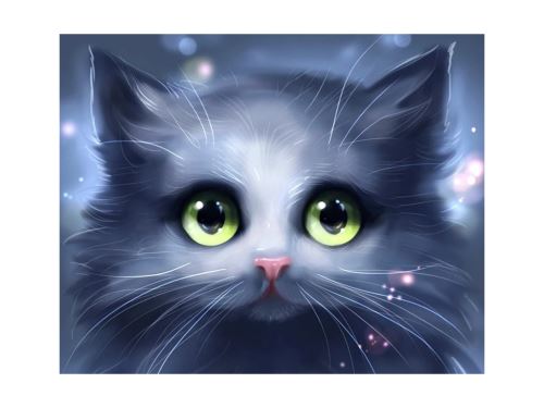 Diamantový obrázek -Vyděšená kočka 30x40cm