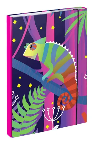 Box na školní sešity A4 BAAGL - Chameleon
