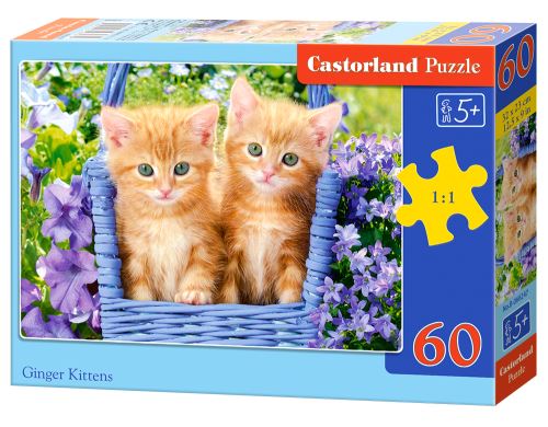 Puzzle Castorland 60 dílků - Zrzavá koťata