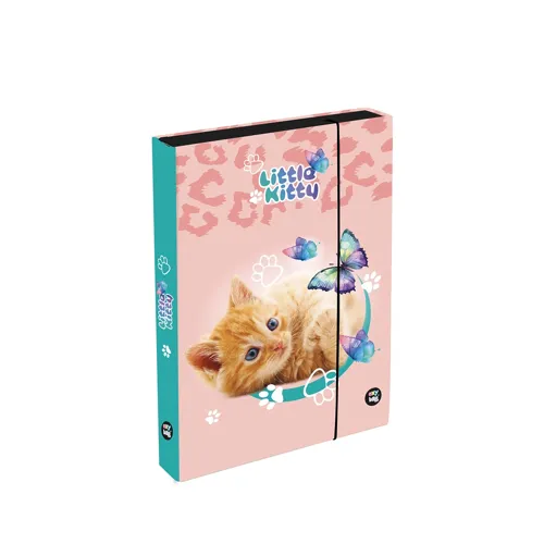 Box na sešity A5 Jumbo KARTON P+P - Kočka
