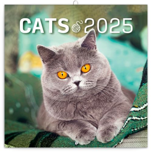 Nástěnný poznámkový kalendář Presco Group 2025 - Kočky, 30 × 30 cm