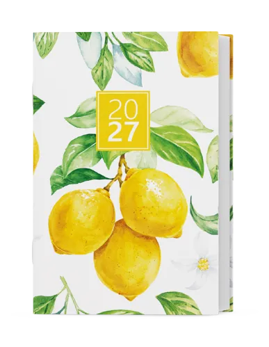 Týdenní diář 2027 Baloušek Gustav lamino Citron
