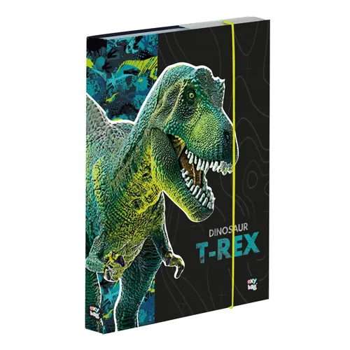 Box na sešity A5 KARTON P+P - Premium Dinosaurus