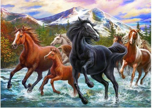Malovaní na plátno podle čísel 40x50cm - Koně z hor