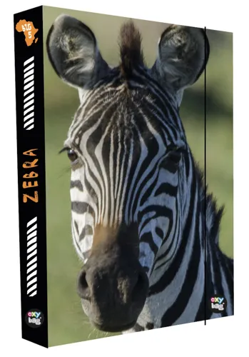 Box na sešity A4 Jumbo KARTON P+P - Zebra