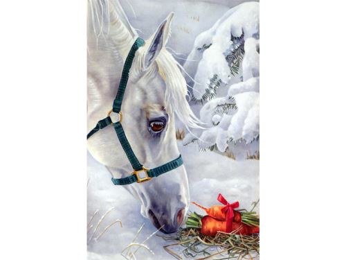 Malovaní na plátno podle čísel 40x50cm - Bílý kůň