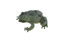 Žába 7 × 7 cm - mix motivů (8)
