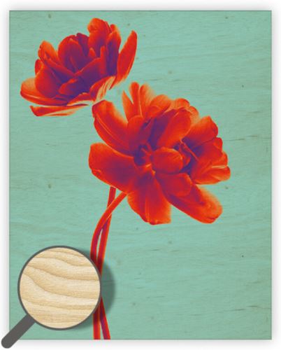 Dřevěný obraz Helma - Tulip