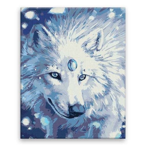 Malovaní na plátno podle čísel 40x50cm - Bílý vlk